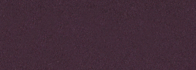 No.19 古代紫