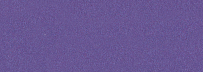 No.459 美紫